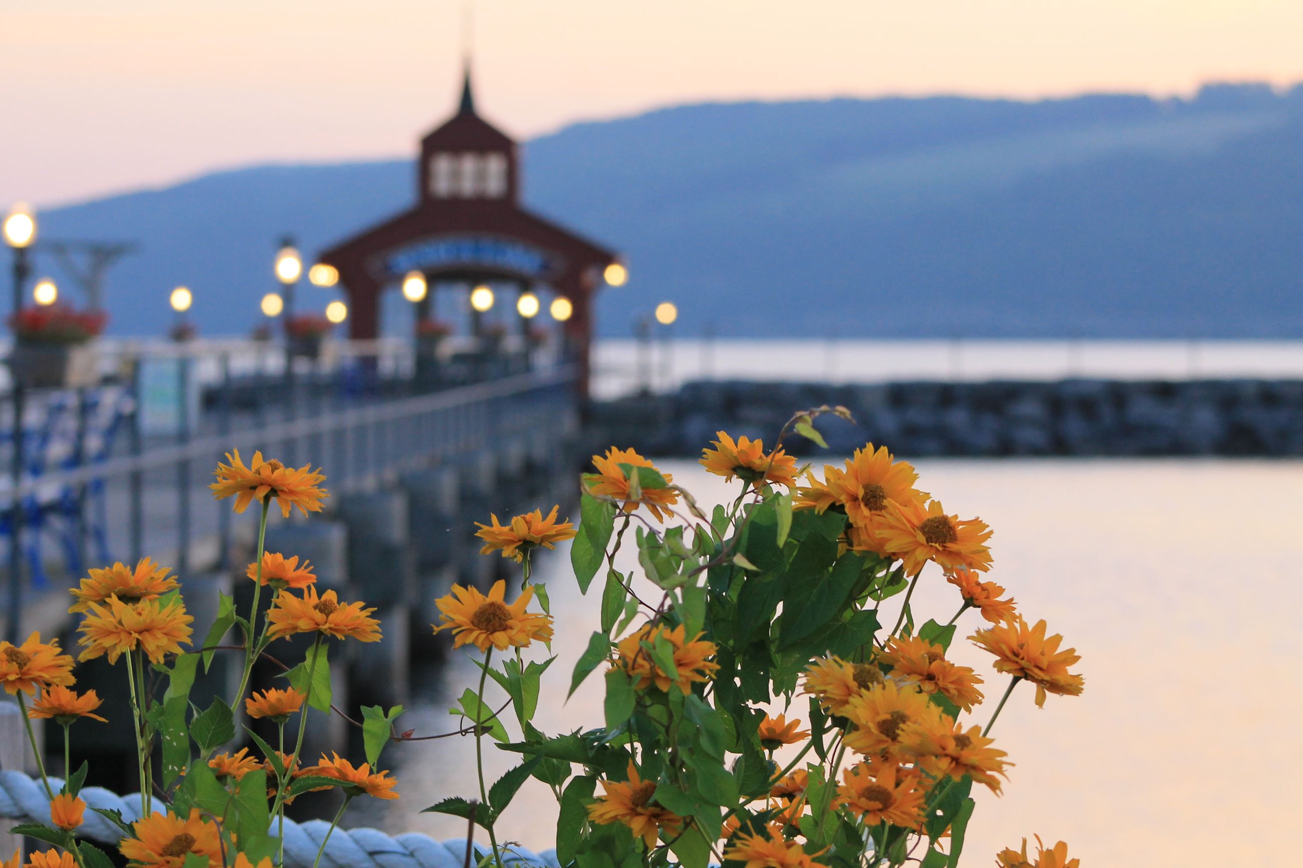 Taken by Karen Stegner